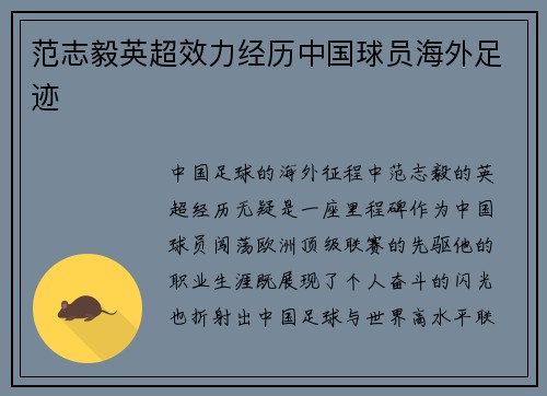 范志毅英超效力经历中国球员海外足迹