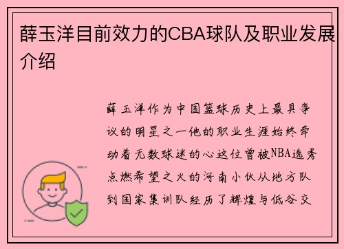 薛玉洋目前效力的CBA球队及职业发展介绍
